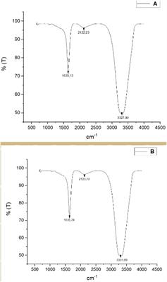 Investigation of Antimicrobial and Cytotoxic Properties and Specification of Silver Nanoparticles (AgNPs) Derived From Cicer arietinum L. Green Leaf Extract